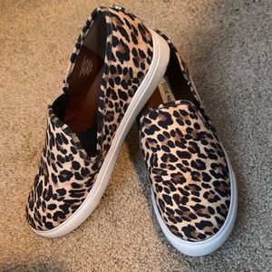 Steve Madden Leopard Print Sneakers